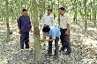 Đồng Nai: Nguy cơ xóa sổ vườn cao su tiểu điền